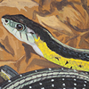 State snake – Eastern Garter Snake