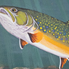 State Feshwater fish - Brook Trout