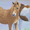 State Pony - Chincoteague Pony